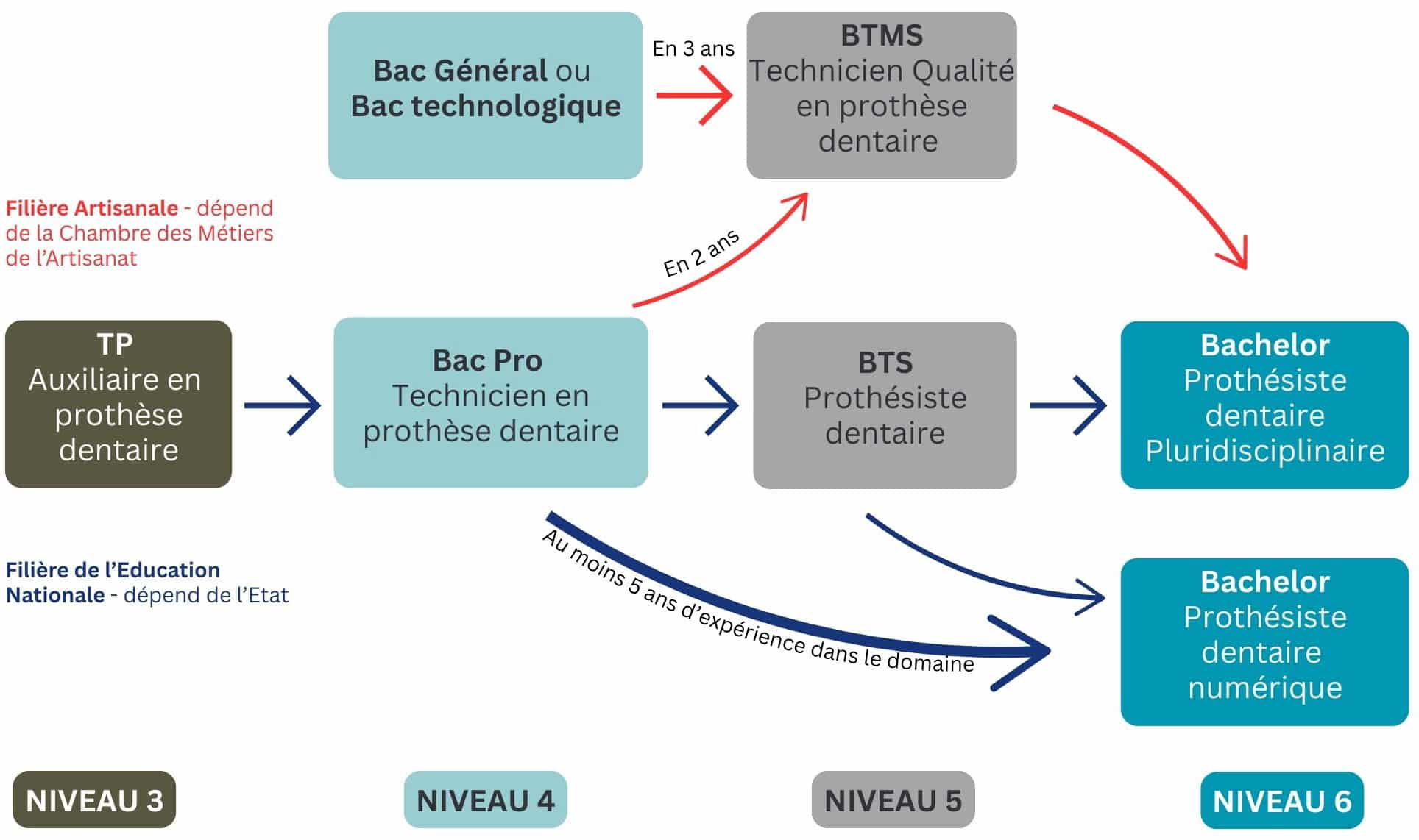 Cursus de formation pour devenir Prothésiste Dentaire
